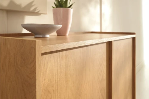 Komoda dwudrzwiowa 98cm do salonu Aranz Dąb Karmel