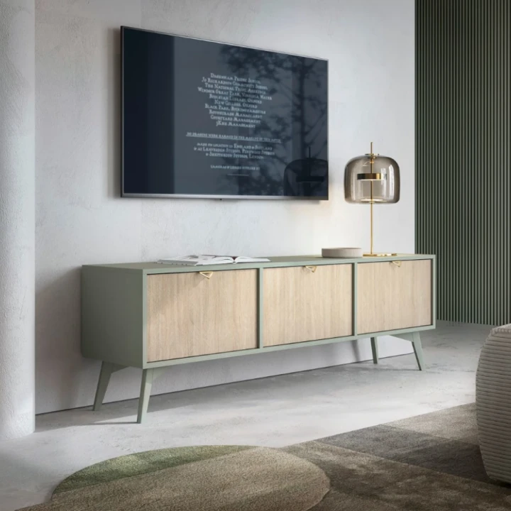 Szafka RTV Timber z drzwiczkami w kolorze eukaliptus