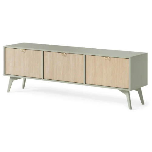 Szafka RTV Timber z drzwiczkami w kolorze eukaliptus na białym tle